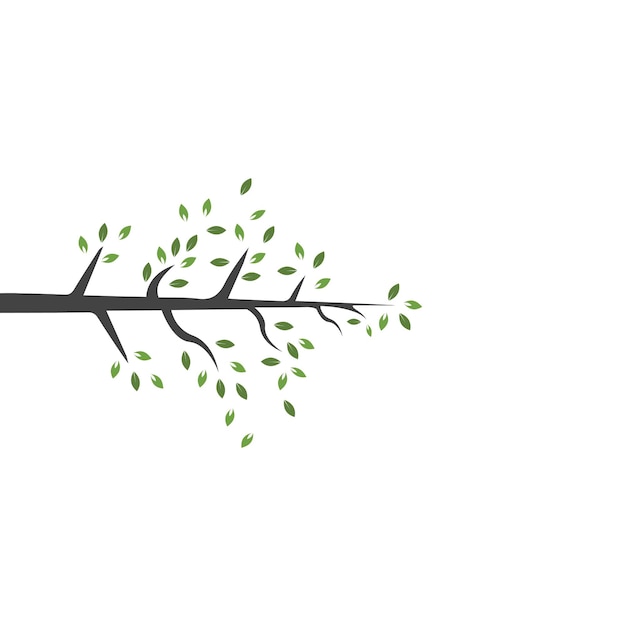 Vector branch Hand drawn illustration of tree branch design template