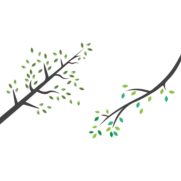 Vector branch Hand drawn illustration of tree branch design template