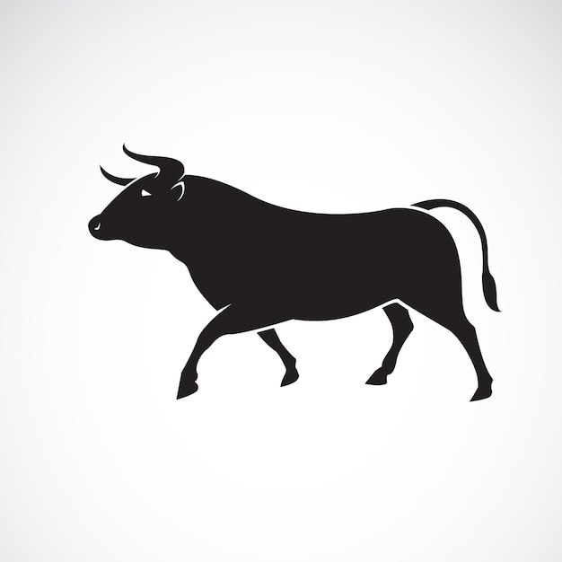 Vector of bull design on white background Wild Animals Vector illustration Easy editable layered vector illustration