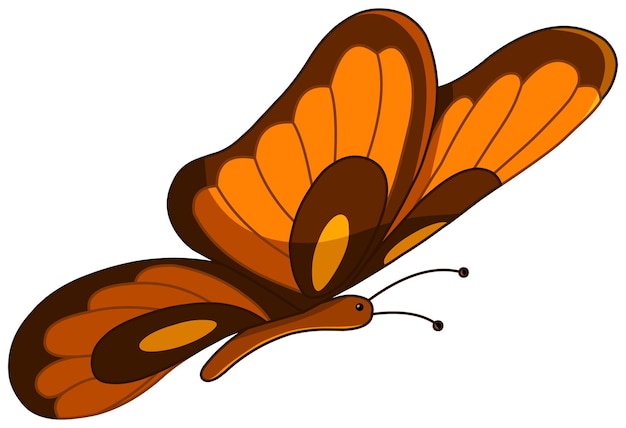 Vector vector butterfly