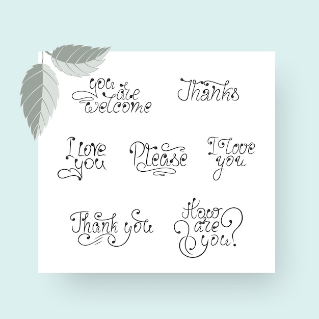 Vector calligraphic lettering template for messages with presentation on turquoise background with leaves