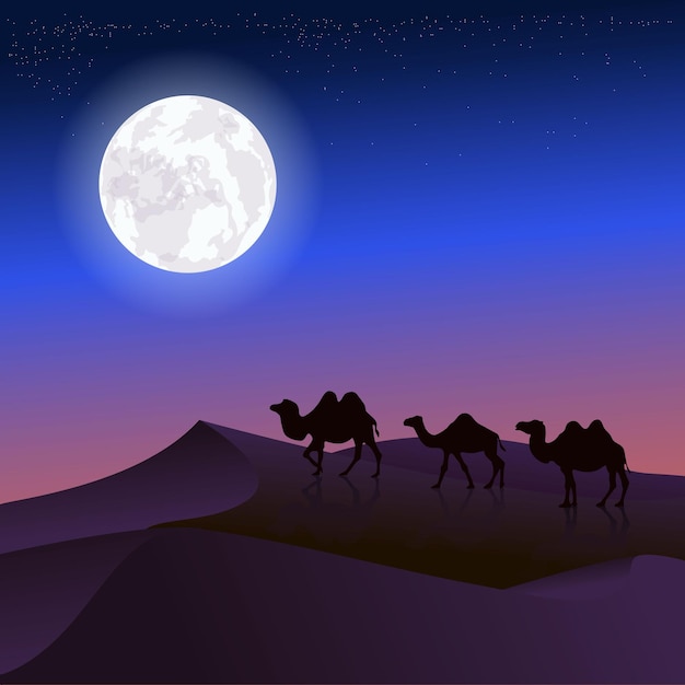 Vector vector camels in the night desert starry sky