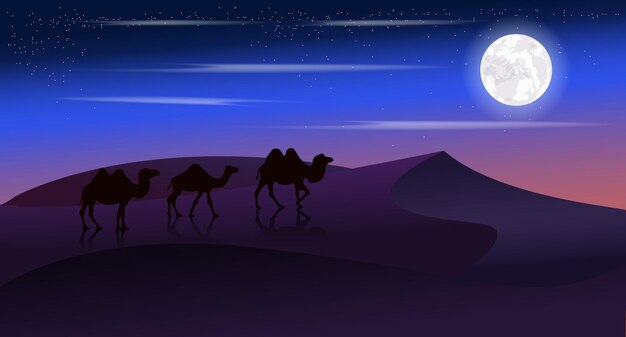 Vector Camels in the night desert Starry sky