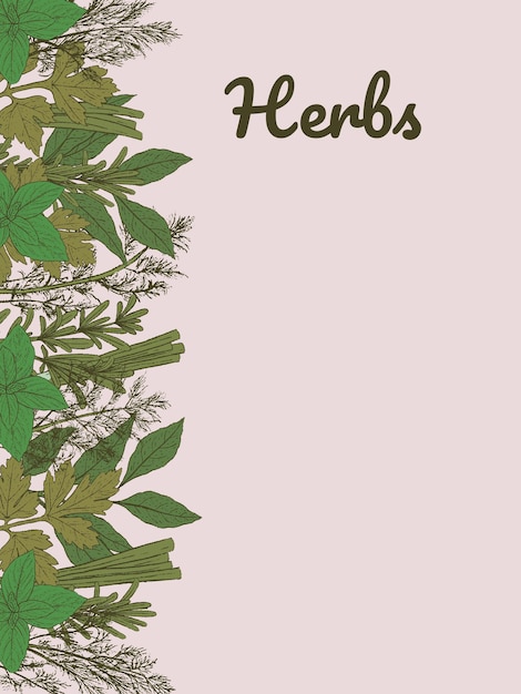 Vector vector card with hand drawn green herbs