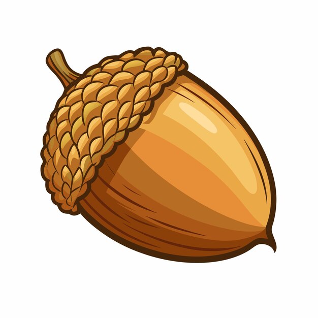 Vector Cartoon Color Illustration Brown Wild Acorn isolated on white background 20