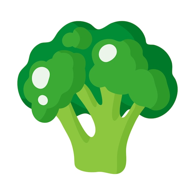 Vector cartoon fresh broccoli vegetable. Eco food shopping.