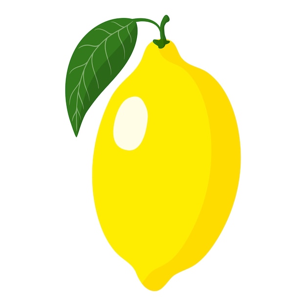 Vector cartoon fresh lemon fruit. Eco food shopping.