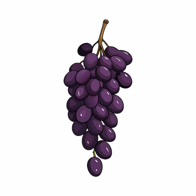 Vector vector cartoon hand drawn black grapes bunch 2