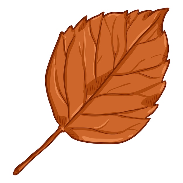 Vector Cartoon Illustration Autumn Fallen Orange Leaf of Birch