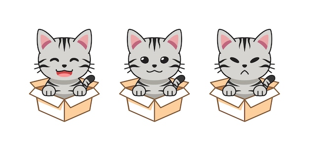 Vector cartoon illustration set of american shorthair cat showing different emotions in cardboard boxes