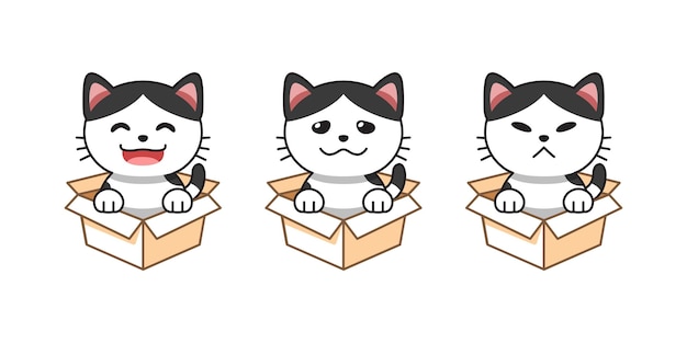 Vector cartoon illustration set of cat showing different emotions in cardboard boxes