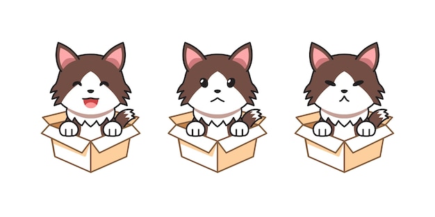 Vector cartoon illustration set of ragamuffin cat showing different emotions in cardboard boxes