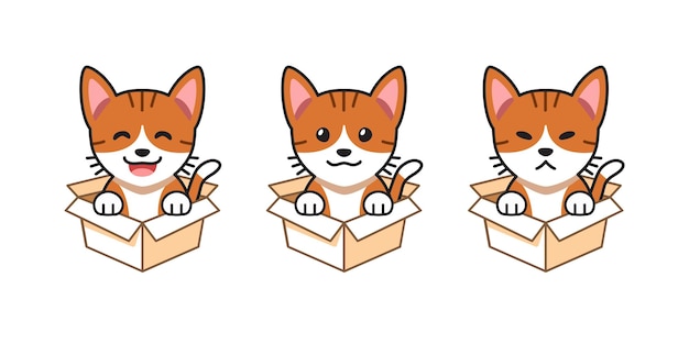 Vector cartoon illustration set of tabby cat showing different emotions in cardboard boxes