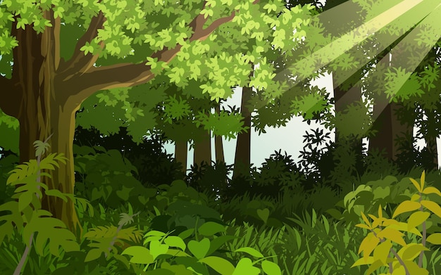 Vector cartoon nature illustration of forest with sunbeam