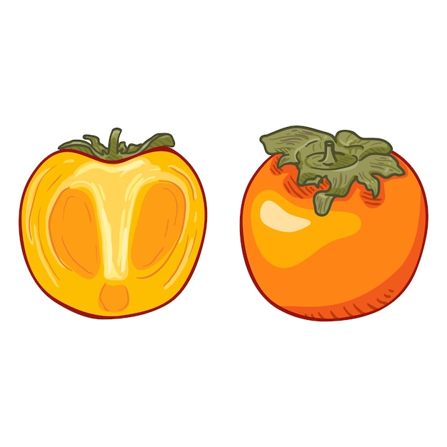 Vector Cartoon Persimmon Fruit