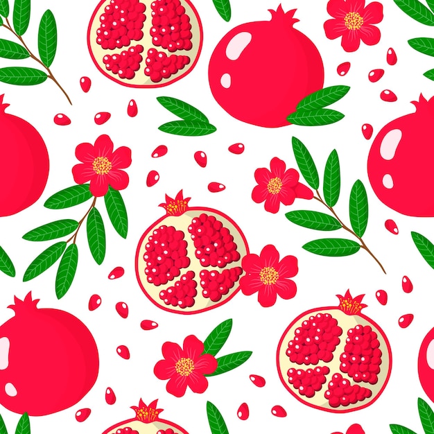 Vector cartoon seamless pattern with Pomegranate or Punica exotic fruits, flowers and leafs on white background