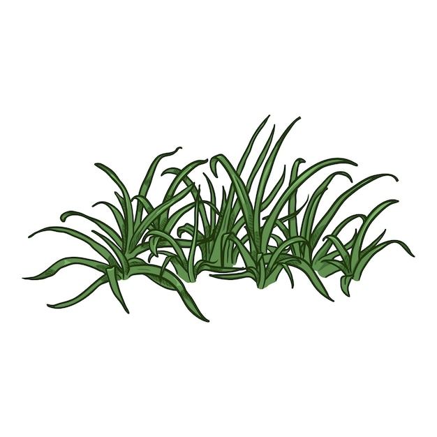 Vector Cartoon Wild Growth Green Grass