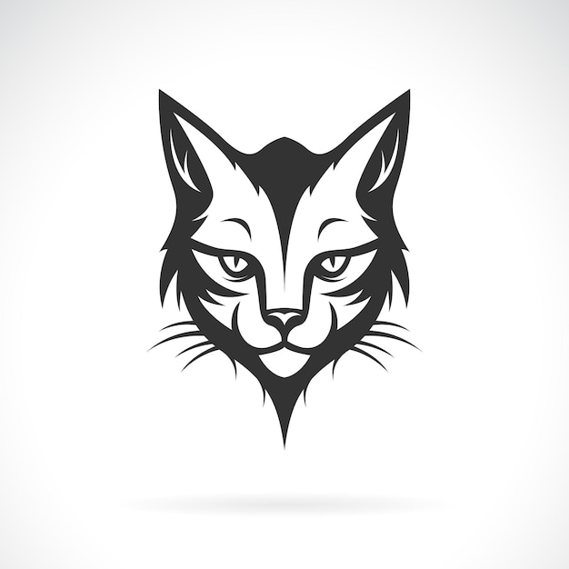 Vector of a cat head design on black background Pet Animals