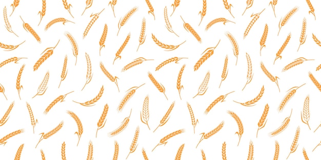 Vector cereal crops seamless pattern