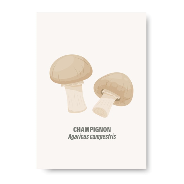 Vector Champignon Mushroom Isolated on White Card with Hand Drawn Cartoon Honey Agaric Mushrooms Design Template Clipart Agaricus Campestris Mushroom Set