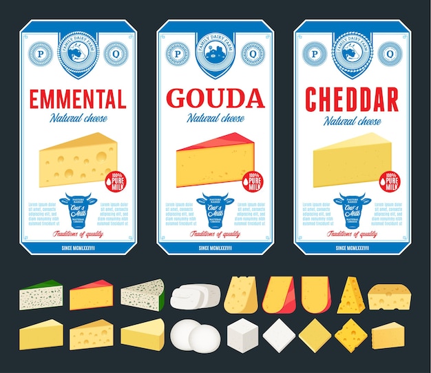 Vector cheese labels and different types of cheese detailed icons