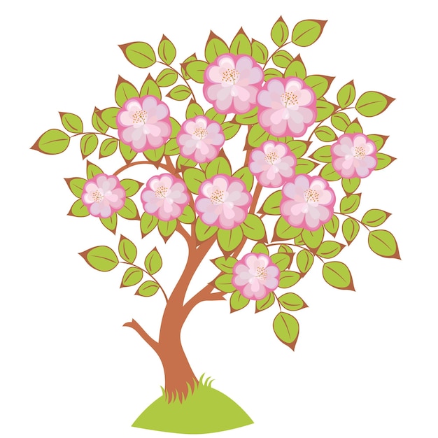 Vector of cherry blossoms