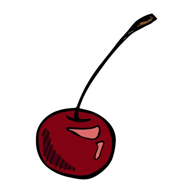 Vector cherry clipart Hand drawn berry icon Fruit illustration