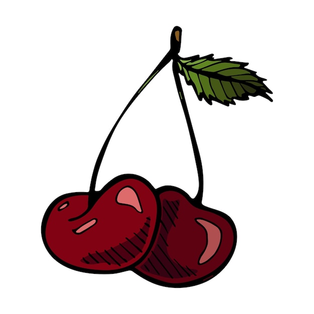 Vector cherry clipart Hand drawn berry icon Fruit illustration