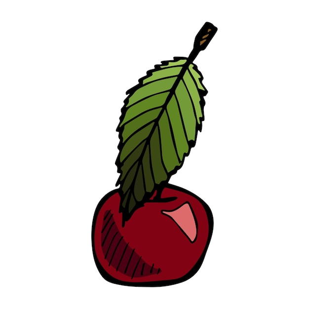 Vector cherry clipart Hand drawn berry icon Fruit illustration