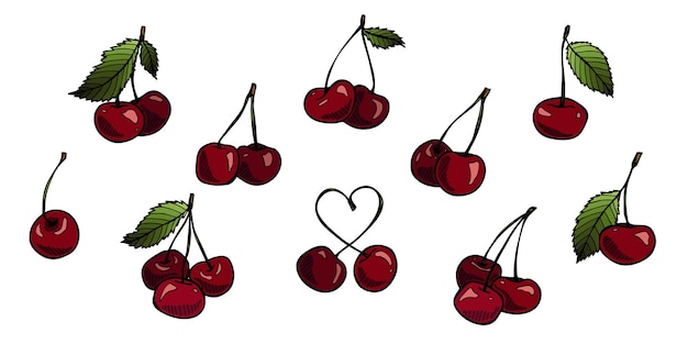 Vector cherry clipart Hand drawn berry icon Set of fruit illustration