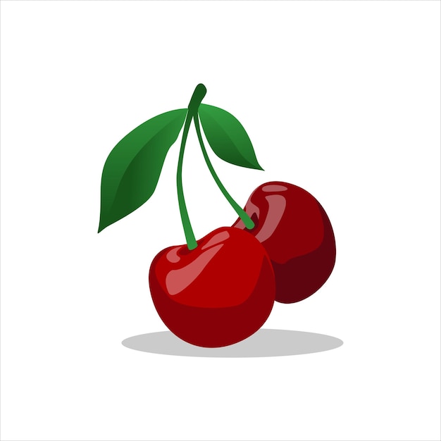 Vector vector cherry fruit design on white background