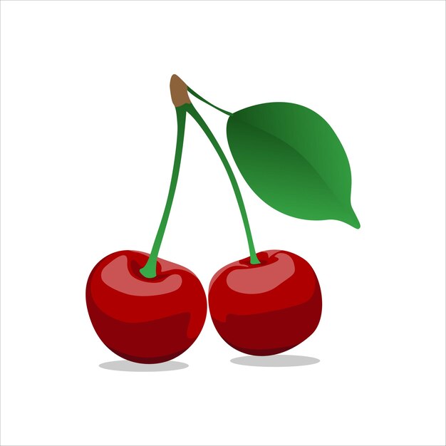 Vector vector cherry fruit design on white background