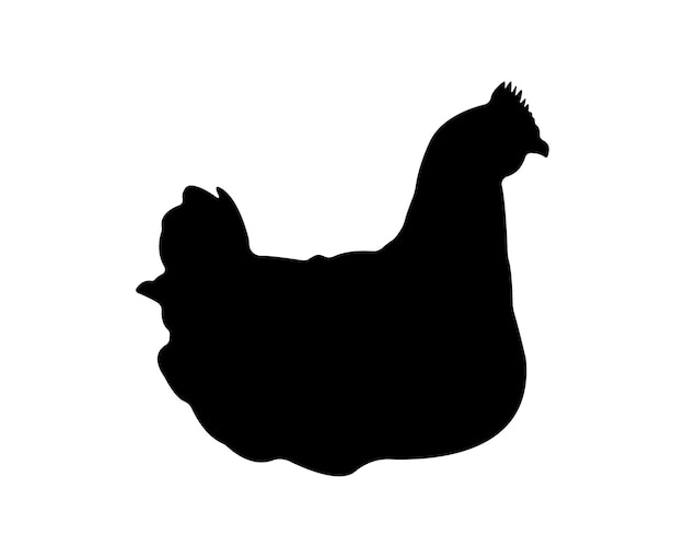 Vector chicken silhouette isolated on white background