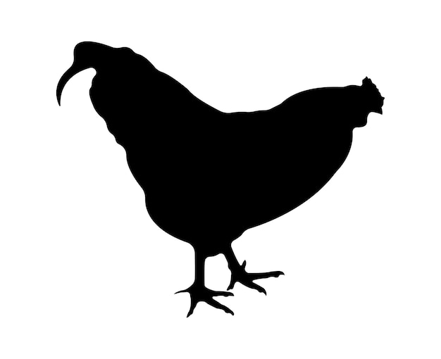 Vector chicken silhouette isolated on white background