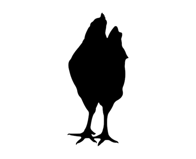 Vector vector chicken silhouette isolated on white background