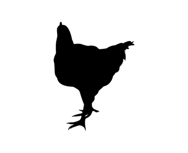 Vector chicken silhouette isolated on white background