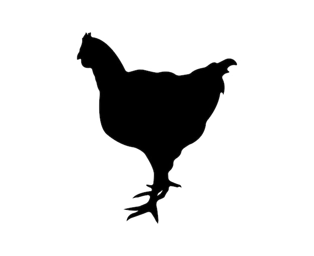 Vector chicken silhouette isolated on white background