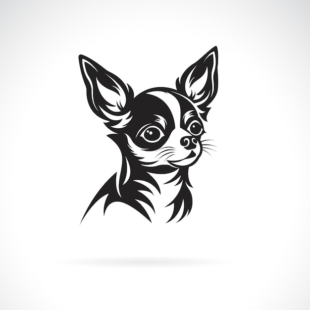 Vector of a chihuahua dog design on black background Pet Animals