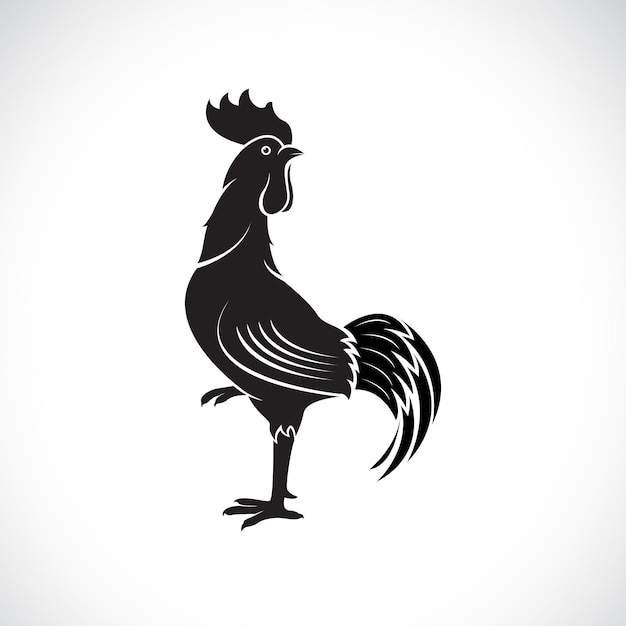 Vector of cock or rooster design on white background Easy editable layered vector illustration Farm Animals