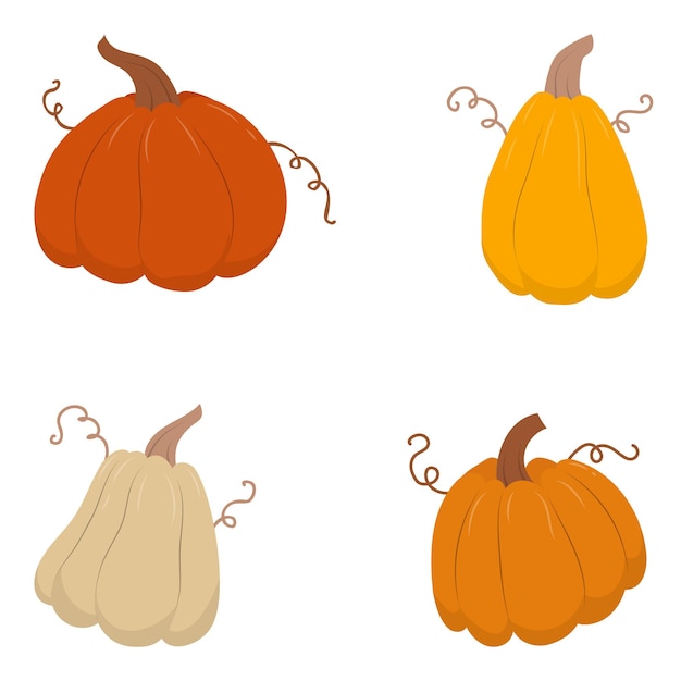 Vector collection of cute hand drawn pumpkins on white background