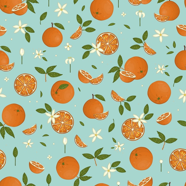 Vector colored seamless pattern of oranges isolated on blue pastel background