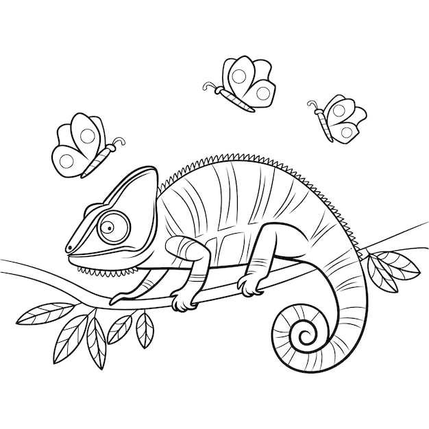 Vector vector coloring book for adults contour chameleon on a branch isolated on white background