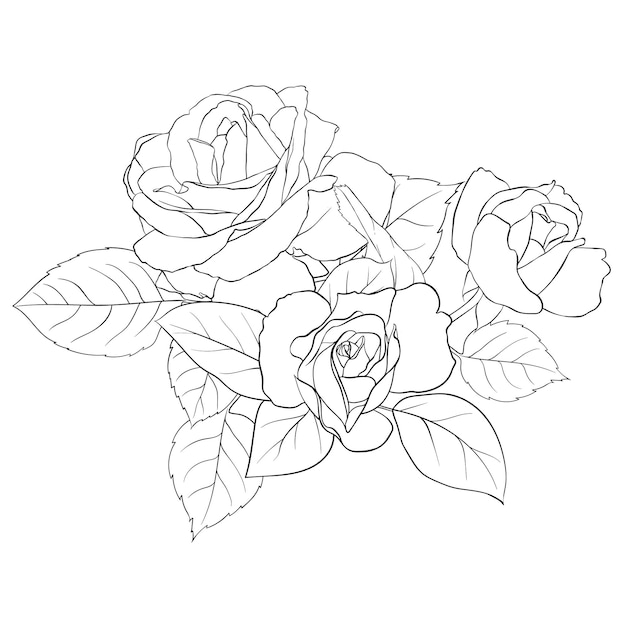 Vector composition of delicate roses and leaves. Contour illustration by hand. Illustration for creating cards, decorations, decorations, prints, wedding invitations, etc.