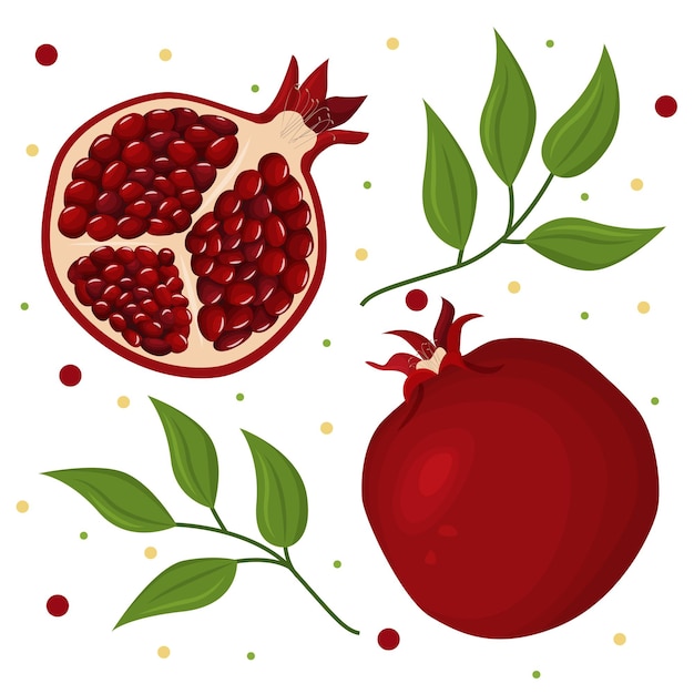 Vector composition of juicy ripe pomegranate fruits and green leaves tropical fruits