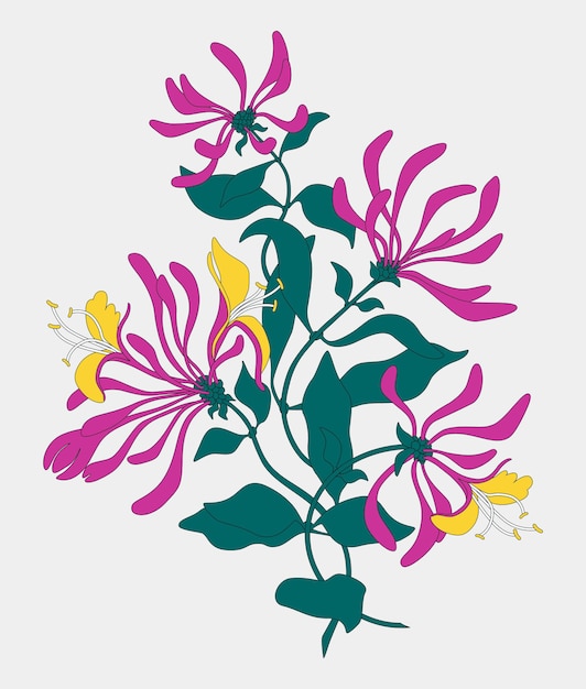 Vector composition of spring pink flowers illustration Lonicera print background Wedding card