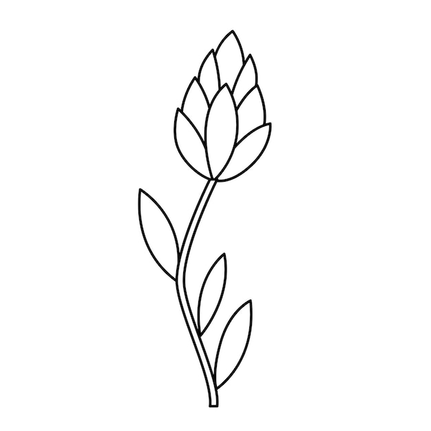 Vector Contour black and white drawing of blooming flower