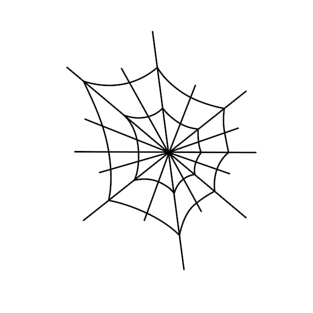 Vector Contour black and white drawing of a spider web