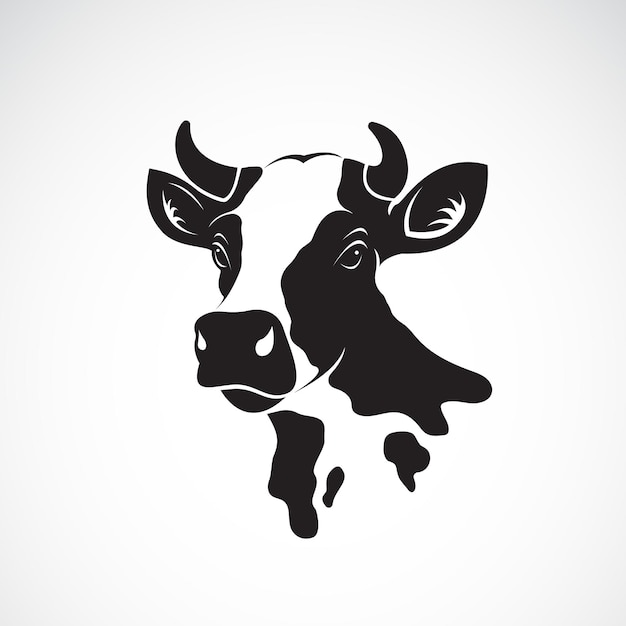 Vector of cow head design on white background Farm animal Vector illustration