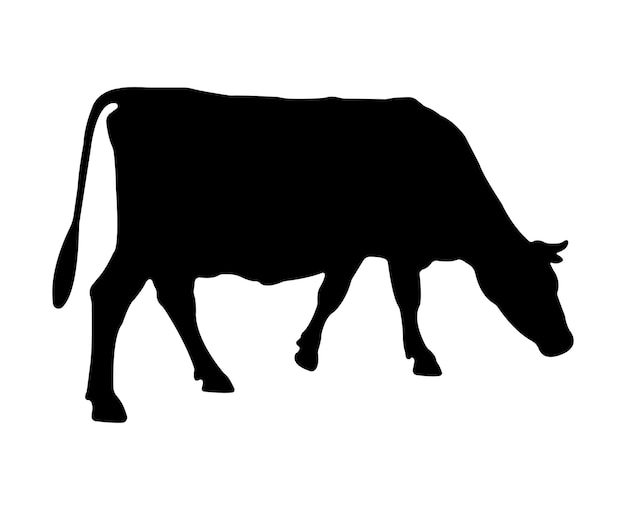 Vector cow silhouette isolated on white background