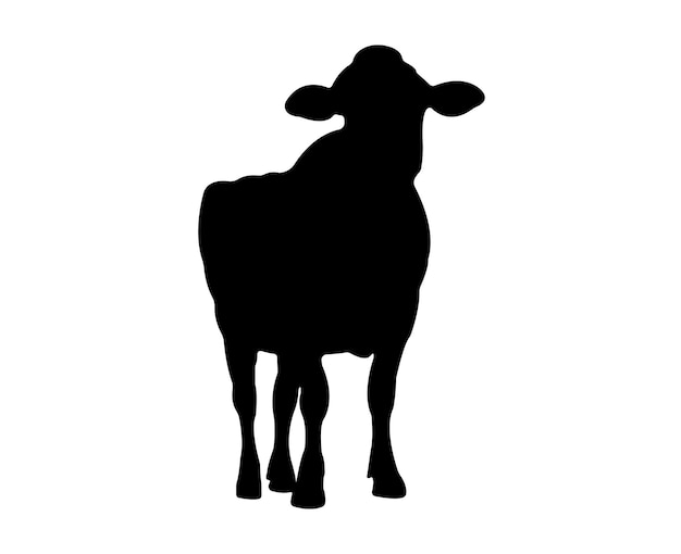 Vector cow silhouette isolated on white background